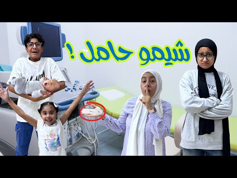 شيمو حامل!!🤰