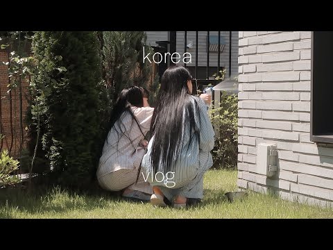 korea vlog: my surgery, shoes giveaway, diy kitchen deco & best korean bingsu (shaved ice) cafe
