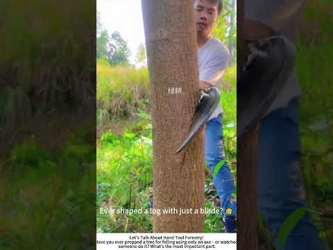 Lumberjack Trims a Trunk with an Axe โ PreโFelling Preparation ๐ช๐ณ