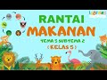 Food Chain and Ecosystem Roles