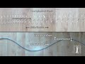 Exploring Mechanical Waves and Their Properties