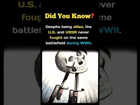 US & USSR Were WWII Allies... But NEVER Fought on the Same Battlefield! 😲🇺🇸🇷🇺 #shorts #usa #ussr