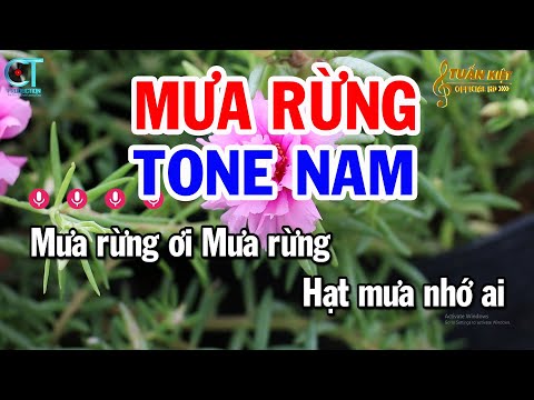 Karaoke Mưa Rừng Tone Nam ( D#m ) Nhạc Sống Beat Mới | Karaoke Tuấn Kiệt