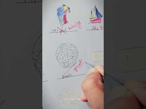 Liam English Test #teacher #student  #teacherlife #asmr #satisfying #englishtest