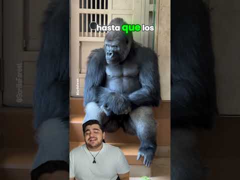 Animales que se veian intimidantes hasta que viste este video #youtubeshorts