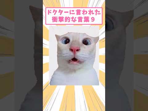 ドクターに言われた衝撃的な言葉9 #猫 #猫のいる暮らし #猫動画 #ねこ #可愛い #ペット #かわいい #2ch