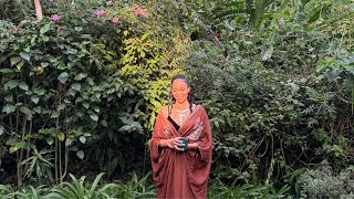 Nairobi Diary : Neubeginn, Kreative Arbeit & Innerer Frieden