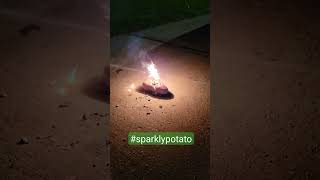 sparkly potato #newyears #2024 #cominginhot