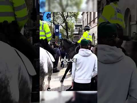 He Showed a Middle Finger to the Guard… Watch What Happens Next