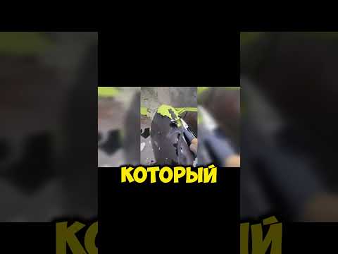 😮САМЫЙ БЫСТРЫЙ СПОСОБ ИЗБАВИТЬСЯ ОТ КРАСКИ🤯#залипательноевидео #залипательно #пескоструй #красиво