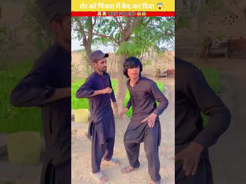 शेर को पिंजरा में कैद कर दिया 😱 wood working with art handcraftidea home maderealtalent/skill-art