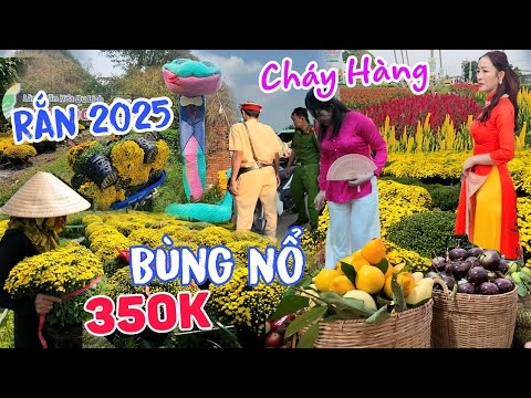 Bùng Nổ Hoa Chợ Lách Bến Tre tết 2025 - Xuất hiện Rắn độc lạ nhất từ trước đến nay