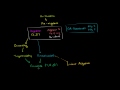 Understanding Algebra and Calculus Concepts