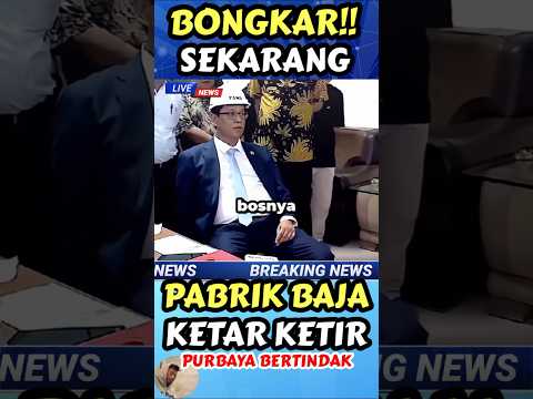 bilang bos nya nanti saya sikat ‼️ #purbaya #reaction