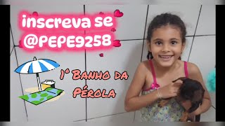 1° Banho da cachorrinha🐕 PEROLA da PEPÊ . Uma aventura nova para a cachorrinha de apenas 4 meses....