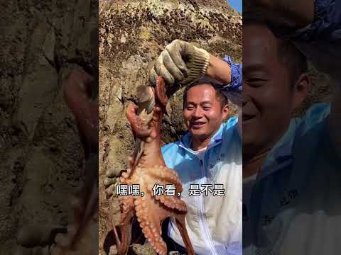 【阿向海钓赶海】1000的帝王蟹打窝 八爪怪大战鲨鱼、捕食石斑鱼，极其嚣张【上集】