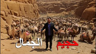 لقد أدخلوا الجمال إلى صحاري أستراليا   لكن البلاد ندمت على ذلك