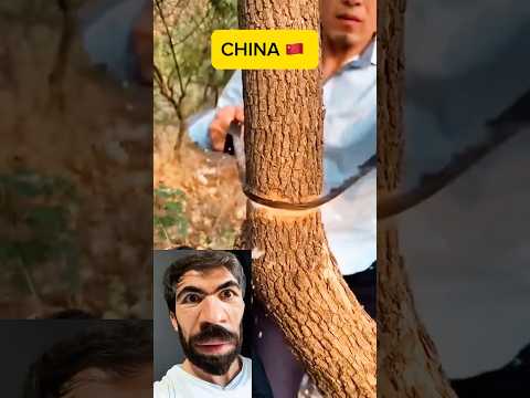 China and Türkiye🤣