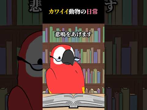 カワイイ動物の日常