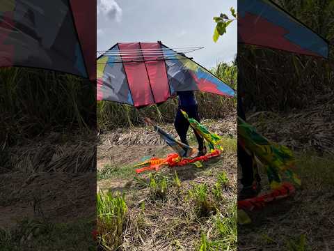 Mòng 4 tầng cho diều Delta
