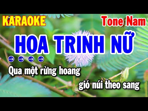 Karaoke Hoa Trinh Nữ Tone Nam | Nhạc Sống Beat Chuẩn 2024 Dễ Hát | Thanh Hải