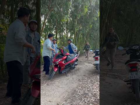 Dàn cảnh cướp xe 