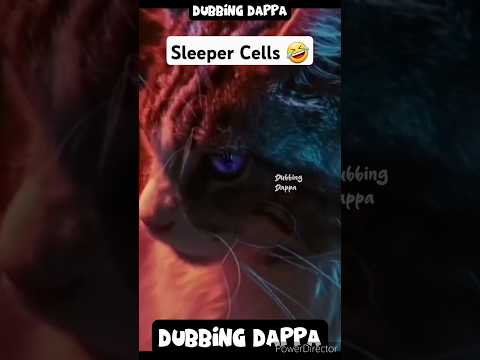 Sleeper Cells ๐คฃ #funny #shorts #cat #shortsfeed #funnyanimals #pets #dubbingdappa #catlover #cats