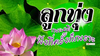 ลูกทุ่ง ฟังกี่ครั้งก็เพราะ - รวมเพลงฟังต่อเนื่อง #เสียงคุณภาพ