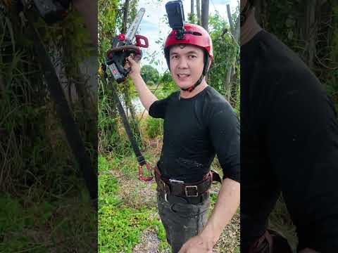 ต้นที่ 83 84 85ได้ครึ่งต้นแบต1ขีด #ตัดต้นไม้ #เลื่อย #เลื่อยไฟฟ้าไร้สาย #osuka