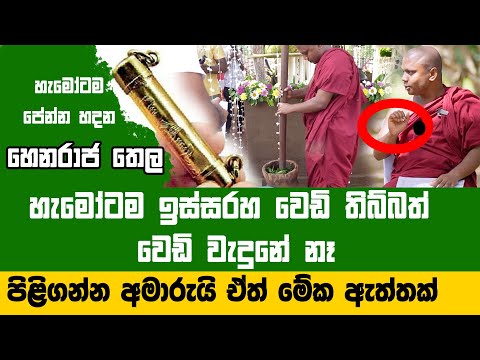 වෙඩි තිබ්බත් උණ්ඩය අතින් අල්ලන්න පුලුවන් | සියලු වීඩියෝ සාක්ෂි ඇතුලත්.. Konara Vlogs