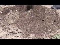 Soil Types and Their Properties