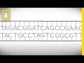 Understanding DNA and Genetic Markers