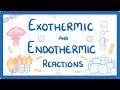 Exploring Exothermic and Endothermic Reactions