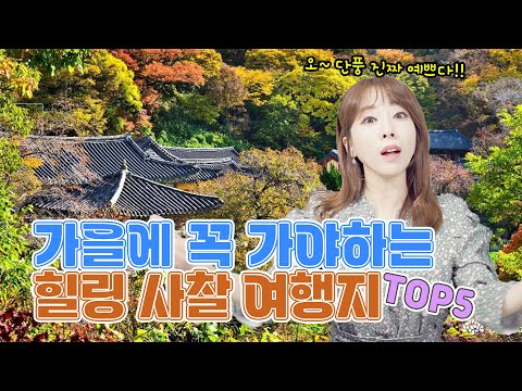 가을 필수여행코스 전국 사찰 명소 TOP5 "지금 놓치면 1년은 다시 기다려야해요!"