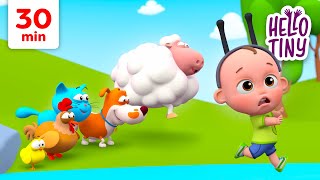 The Ants Go Marching Song 🐜 | Kids Songs and Nursery Rhymes | Hello Tiny
