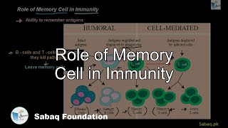 Role of Memory Cell in Immunity