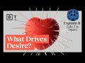 Understanding Mimetic Desire