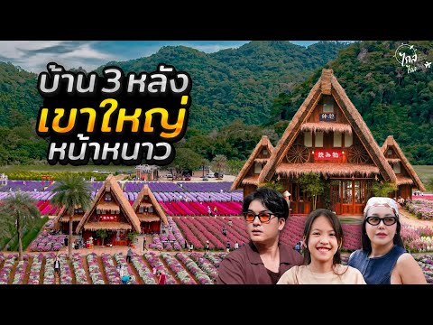 เที่ยวเขาใหญ่หน้าหนาว บ้านกลางเขา งบพันเดียว บ้าน 3 หลัง กลางดอกไม้ฟิลญี่ปุ่น | IceBank Diary