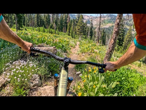 Lake Tahoe is a FEAST FOR THE SENSES! | Mountain Biking the Tahoe Rim Trail