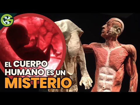 ¿Y SI el ANIMAL Más EXTRAÑO Fueran los HUMANOS? 🍆