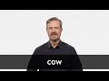 Cuestionario sobre el video de la vaca