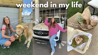 weekend in my life: new car + car tour and petting mini cows!!