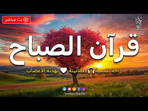 قرآن الصباح | سورة البقرة - قران كريم بصوت جميل جدا جدا - راحة نفسية لا توصف