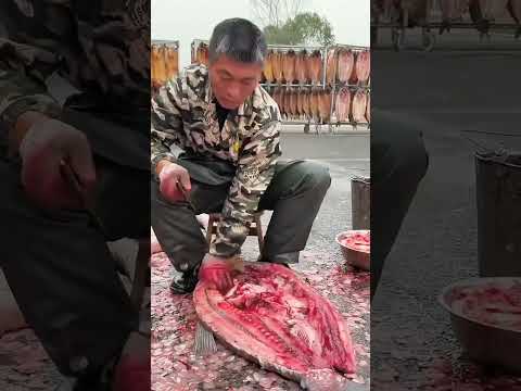 মাছ শুকিয়ে লক্ষ টাকা ইনকাম করছে চায়নারা | The chinese people are selling dried fish