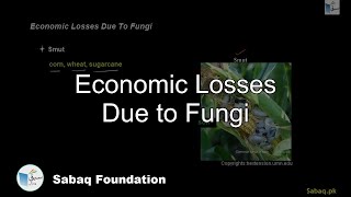 Economic Losses Due to Fungi
