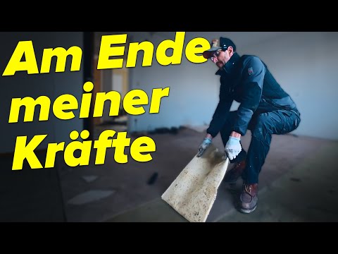 BRUTALER KAMPF gegen den Teppich! Dieser Job hat mir ALLES abverlangt | JWS 7