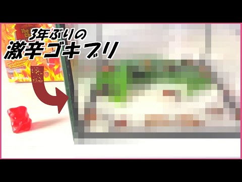 蟻戦争 3年経った「激辛ゴキブリ」は今どうなってる？～spicy roach～