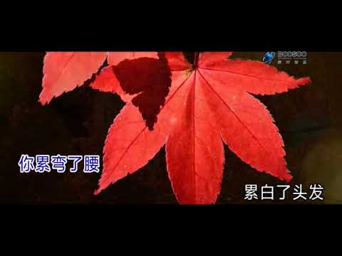 劉德波 老爸老媽 ktv伴奏視頻 歌詞字幕