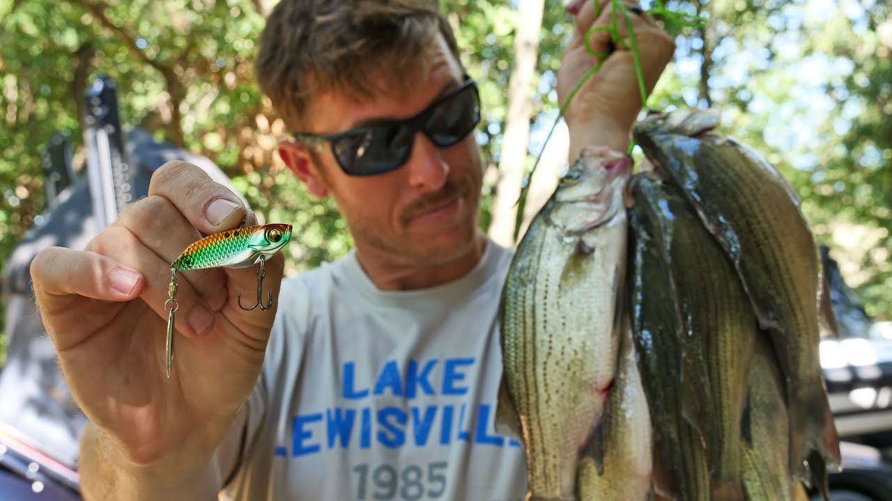 White Bass CATCH & COOK Fishing TINY Shad Lures