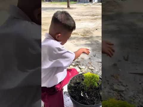 Keseruan Tingkah Hebat Anak Istimewa Tampan Hebat Merawat Bunga #shortsviral #special #disability